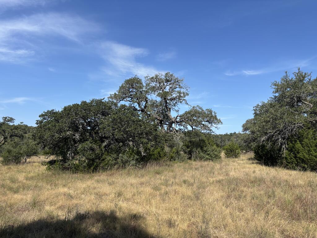 955 Upper Balcones Road Boerne TX 78006