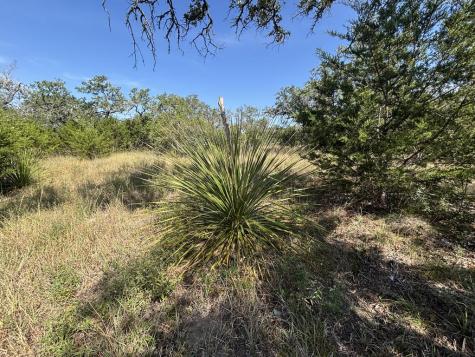 955 Upper Balcones Road Boerne TX 78006