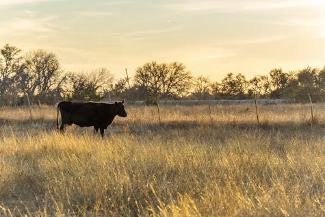 2227-2 Klein-ahrens Road Fredericksburg TX 78624
