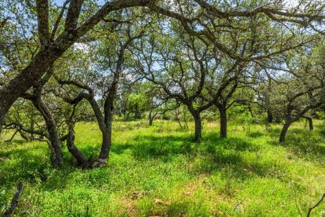 7602 County Road 113 Llano TX 78643
