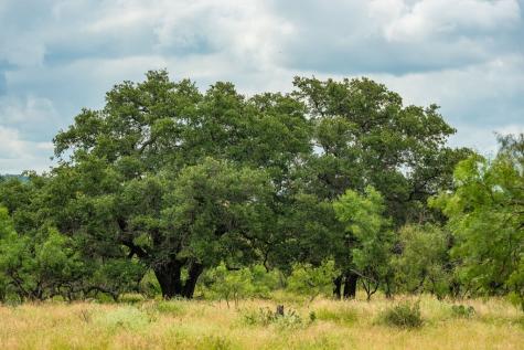7602 County Road 113 Llano TX 78643