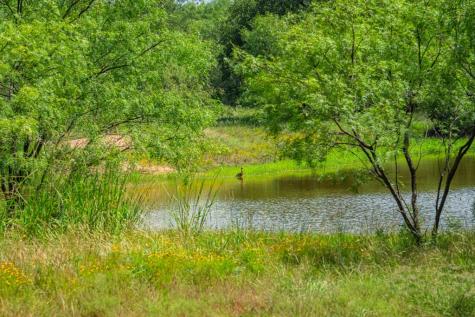 7602 County Road 113 Llano TX 78643