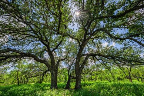 7602 County Road 113 Llano TX 78643