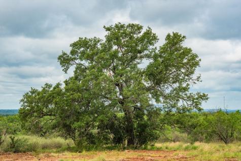 7602 County Road 113 Llano TX 78643