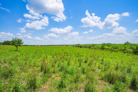 7602 County Road 113 Llano TX 78643