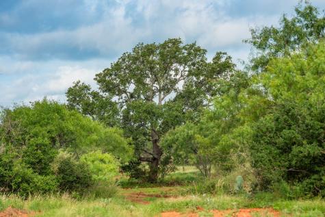7602 County Road 113 Llano TX 78643