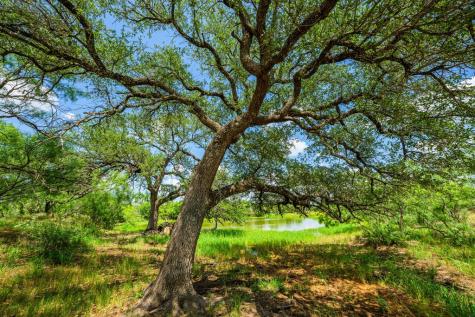 7602 County Road 113 Llano TX 78643