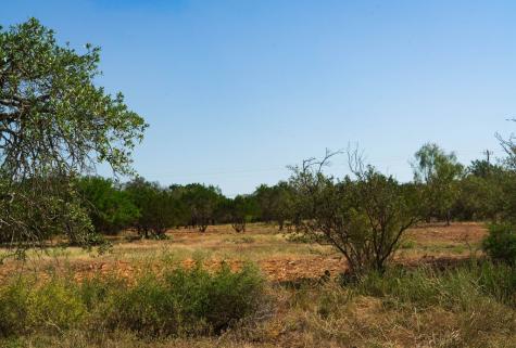 0000 Old Ferry Road Spicewood TX 78669