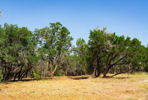 0000 Old Ferry Road Spicewood TX 78669