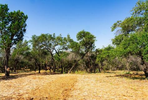 0000 Old Ferry Road Spicewood TX 78669