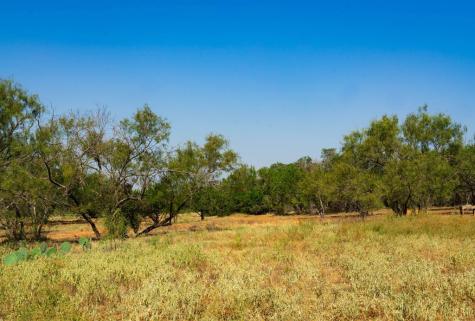 0000 Old Ferry Road Spicewood TX 78669