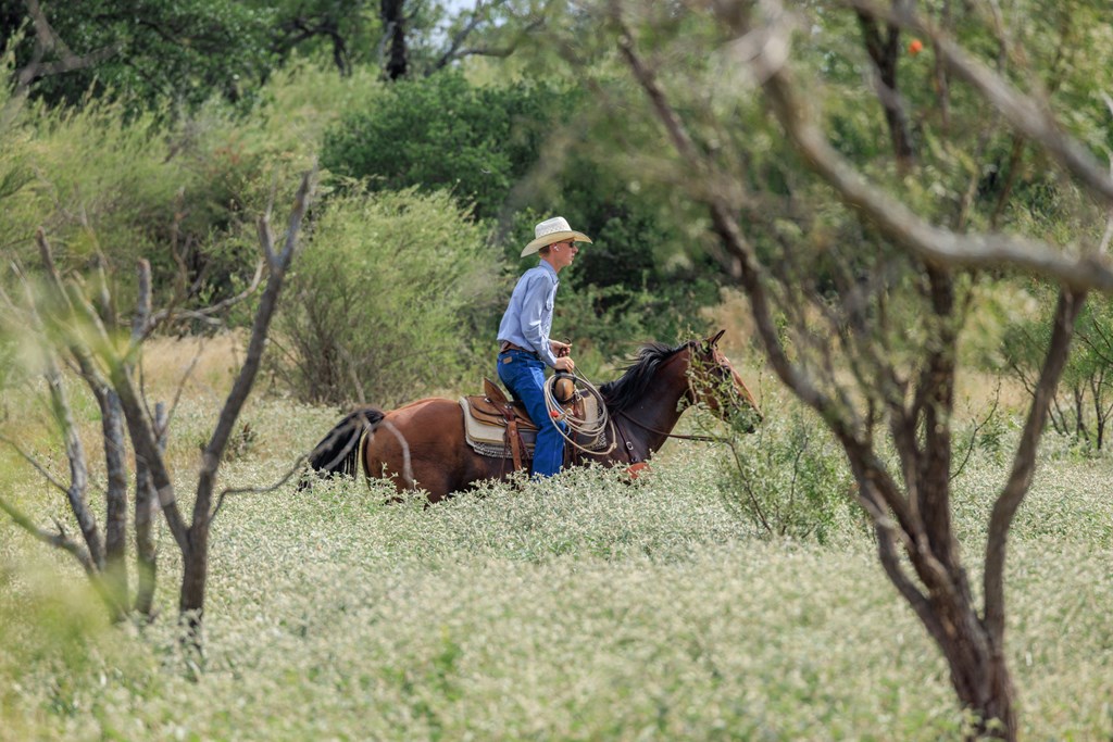 2300 Ranch Road 2323 Llano TX 78643