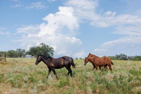 2300 Ranch Road 2323 Llano TX 78643