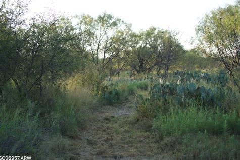 2035 County Road 4483 Rochelle TX 76872