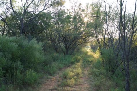 2035 County Road 4483 Rochelle TX 76872