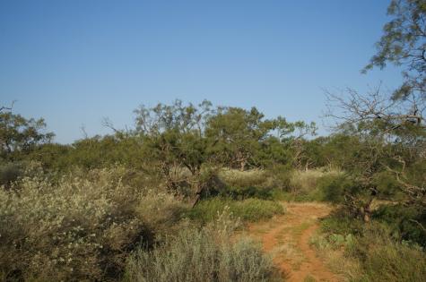 2035 County Road 4483 Rochelle TX 76872