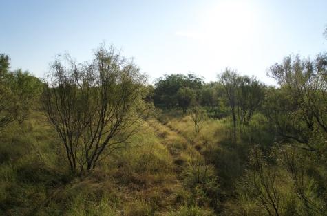 2035 County Road 4483 Rochelle TX 76872