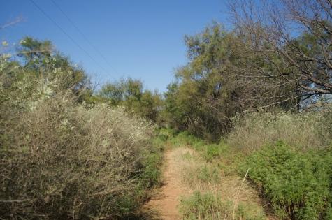 2035 County Road 4483 Rochelle TX 76872