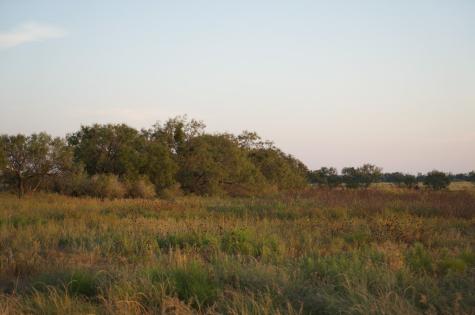 2035 County Road 4483 Rochelle TX 76872