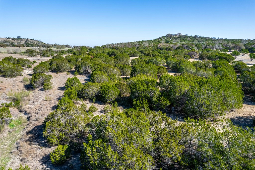 665&699 Cool Creek Road Camp Verde TX 78010