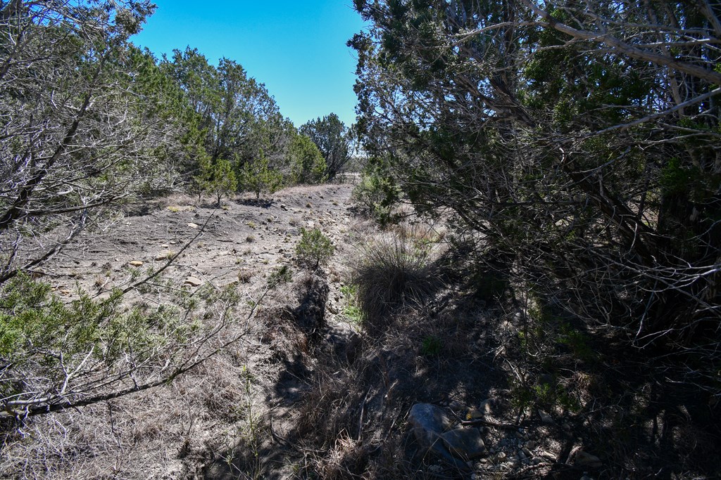 665&699 Cool Creek Road Camp Verde TX 78010