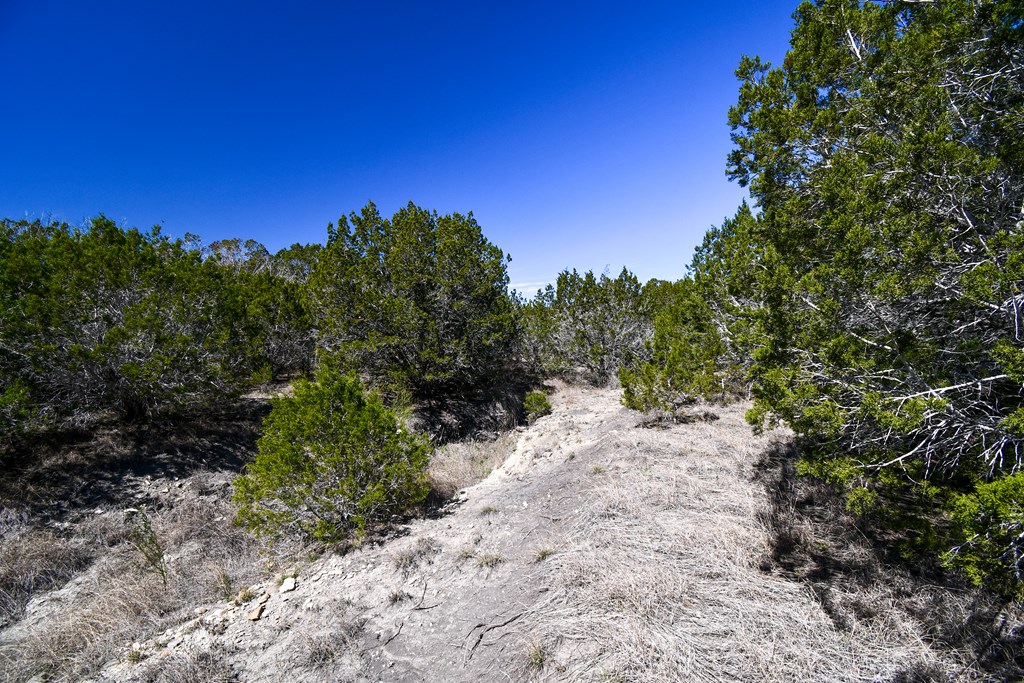 665&699 Cool Creek Road Camp Verde TX 78010
