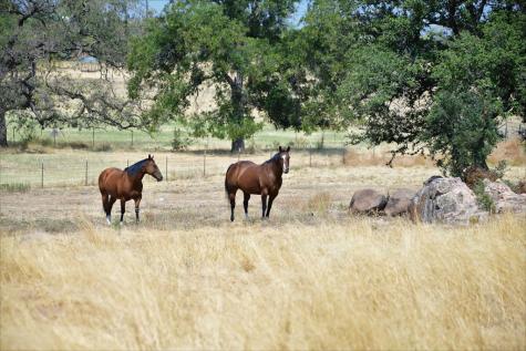 605 Old Pontotoc Road Mason TX 76856