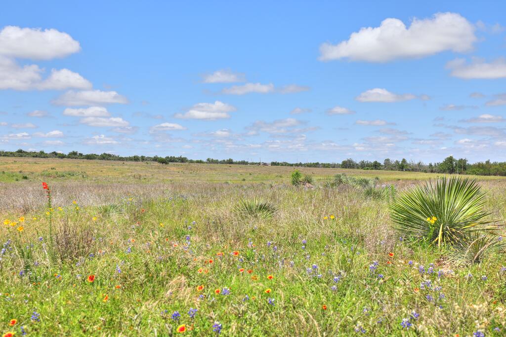 2544 -5 Reservation Road Harper TX 78631