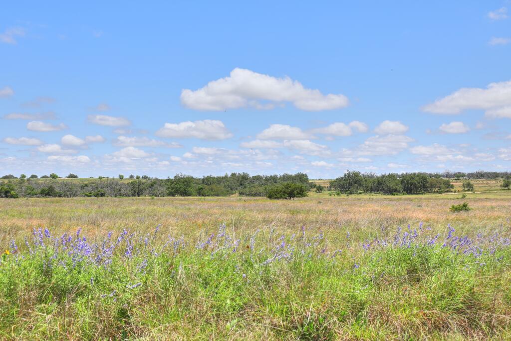 2544 -5 Reservation Road Harper TX 78631