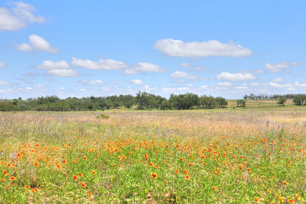 2544 -5 Reservation Road Harper TX 78631