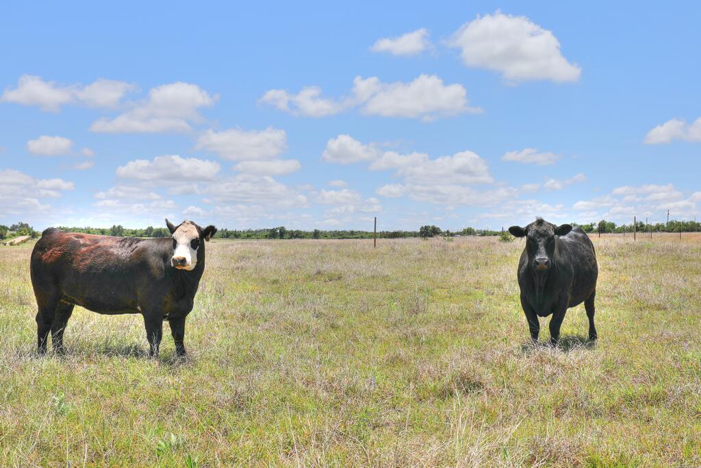 2544 -5 Reservation Road Harper TX 78631