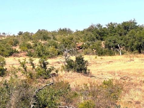 0 N County Road 404 Llano TX 78643