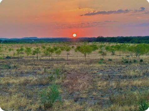 410 Regu Road Fredericksburg TX 78624