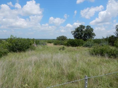 410 Regu Road Fredericksburg TX 78624