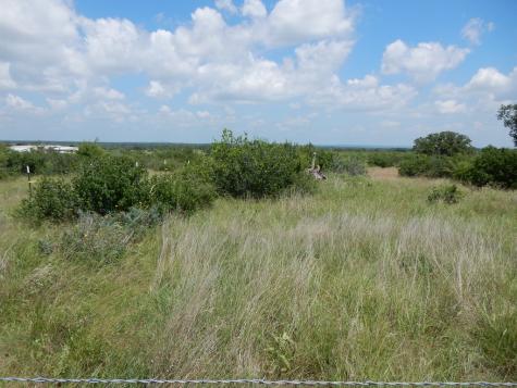 410 Regu Road Fredericksburg TX 78624