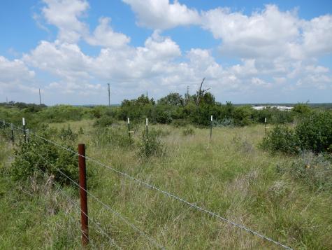 410 Regu Road Fredericksburg TX 78624