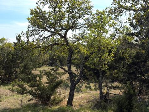 399 W Whitetail Trail Fort Mckavett TX 76841