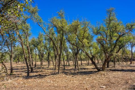 0000 Keese Road Fredericksburg TX 78624