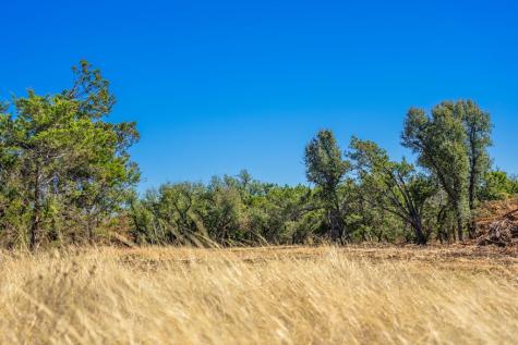 0000 Keese Road Fredericksburg TX 78624
