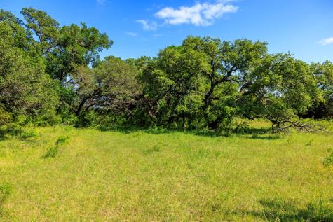 2937 Langes Mill Road Doss TX 78618