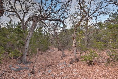 438 Yellowstone Lane Hunt TX 78024