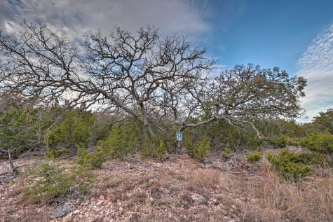438 Yellowstone Lane Hunt TX 78024