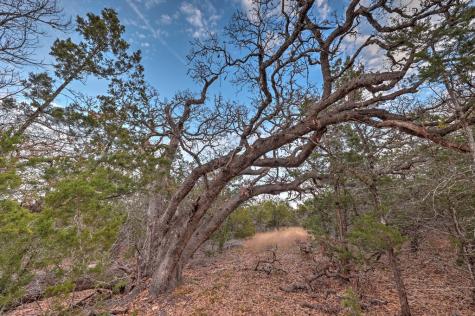 438 Yellowstone Lane Hunt TX 78024