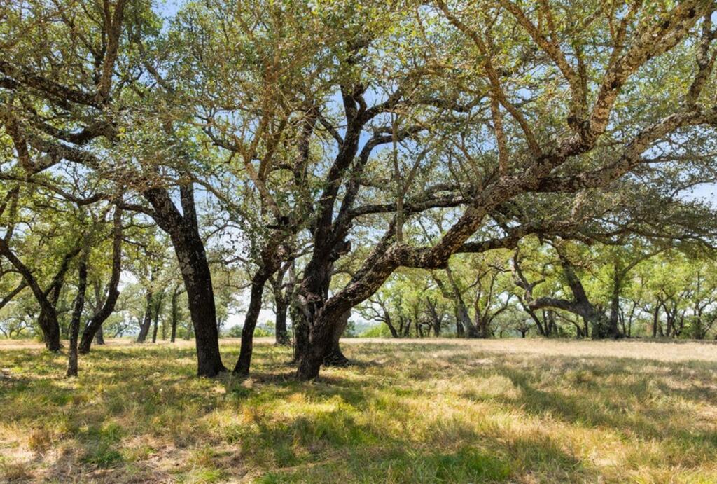 Marble Falls TX 78654