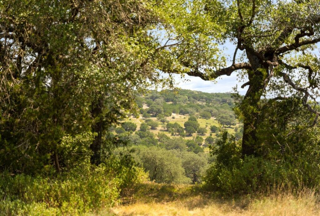 Marble Falls TX 78654