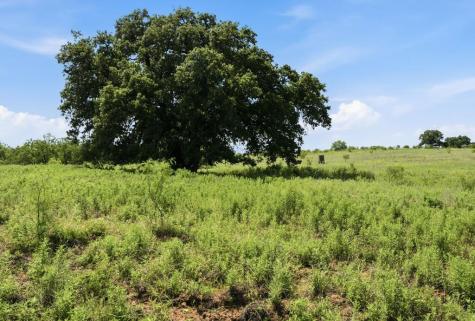 5230 County Road 409 Valley Springs TX 76885
