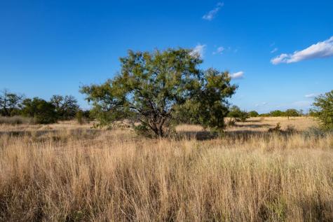 12805 Blackjack Road Other TX 76842