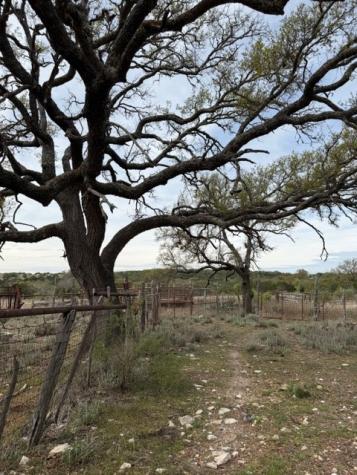 4214 Weisenburg Road Junction TX 76849
