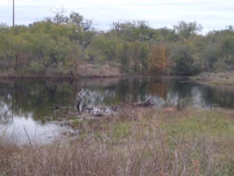 520 N County Road 520 Llano TX 78643