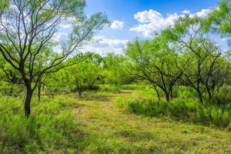 4163 E State Highway 29 Mason TX 76856